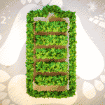 Strom sparen: Mit unseren Tipps und Tricks gelingt's!